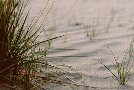 Sausų plaukų ir odos problemos – kaip jų atsikratyti?