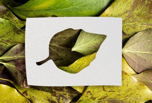 Kosmetikos produktų tvarumo sertifikavimas Europoje