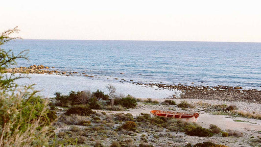 Kaip prižiūrėti plaukus po jūros ir saulės?