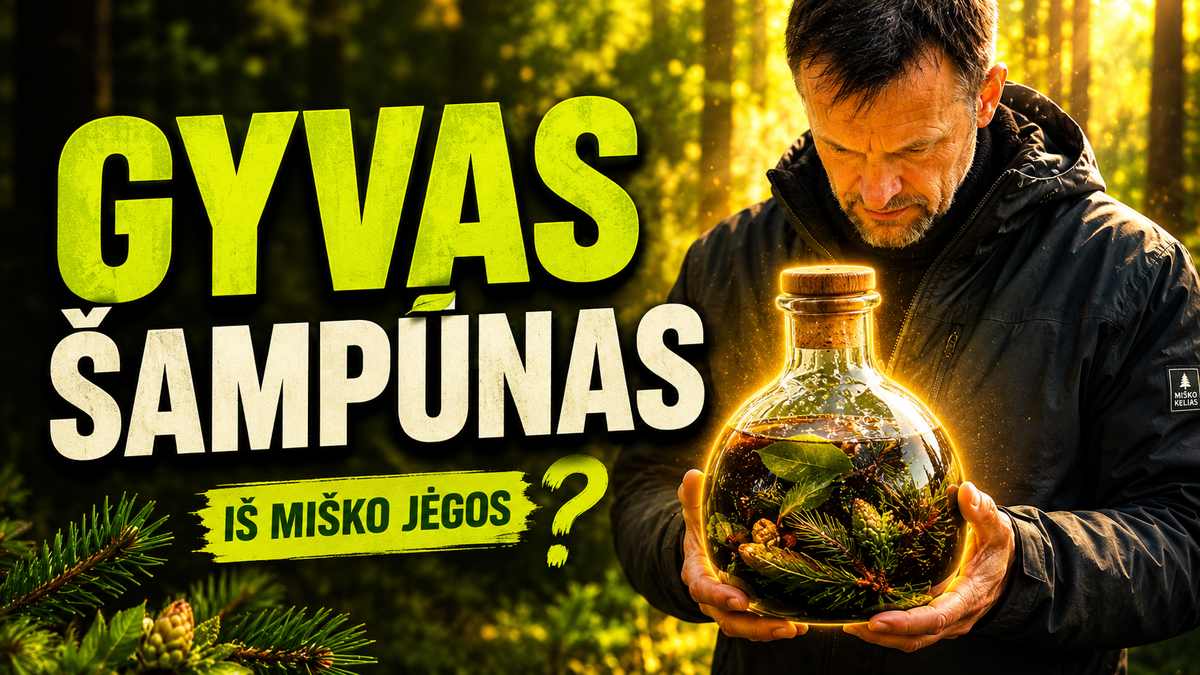 <h2><strong>Šampūnas, gimęs miške</strong></h2>