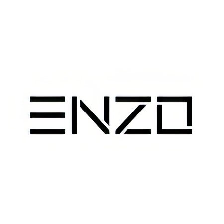 Enzo Logo Square